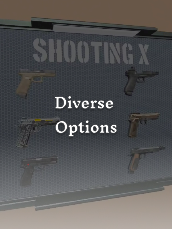 Diverse Options